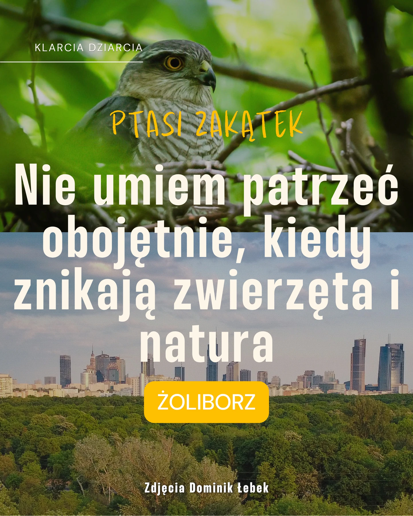 Karuzela z apelem dotyczącym Ptasiego Zakątka na Żoliborzu: zdjęcia ptaka, miejskiej panoramy, lasu i roślin oraz slajd z trzema tatuażami inspirowanymi naturą.