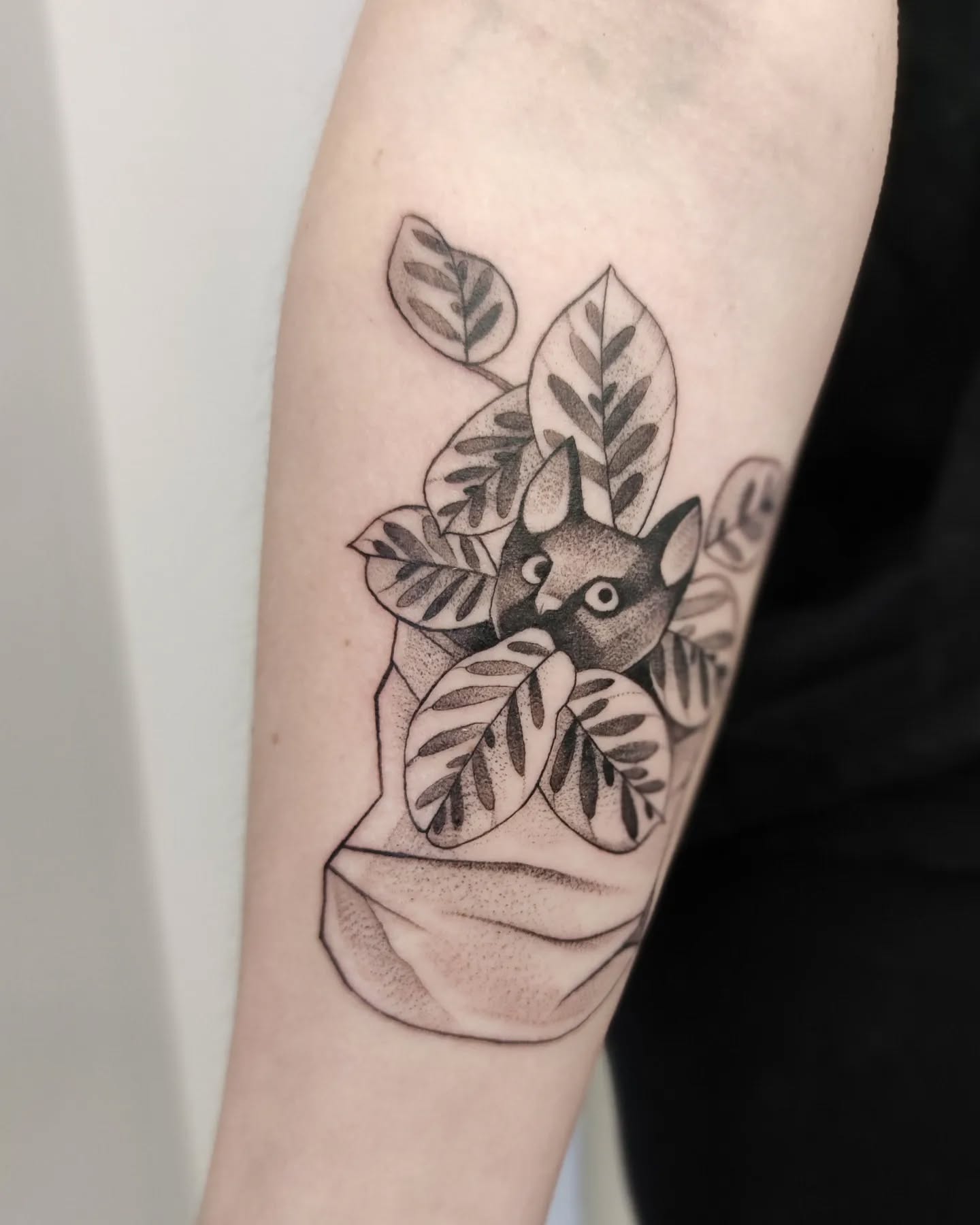 Calathea Purrpurr w tatuażu - Slide 3