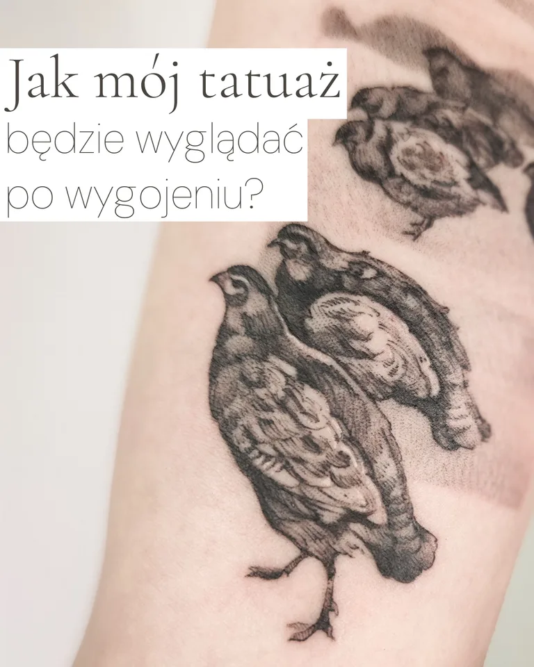 Rok temu „świeży” a dziś „wygojony”. Przewiń i por