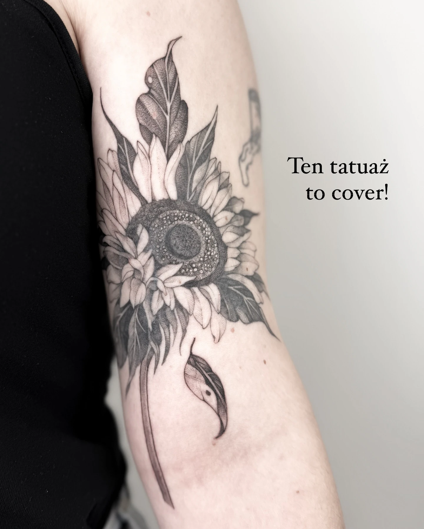 Karuzela pokazująca stary tatuaż przed rozjaśnianiem laserowym, etap przygotowania oraz końcowy cover z botanicznym motywem słonecznika, liści i kwiatu na ramieniu.