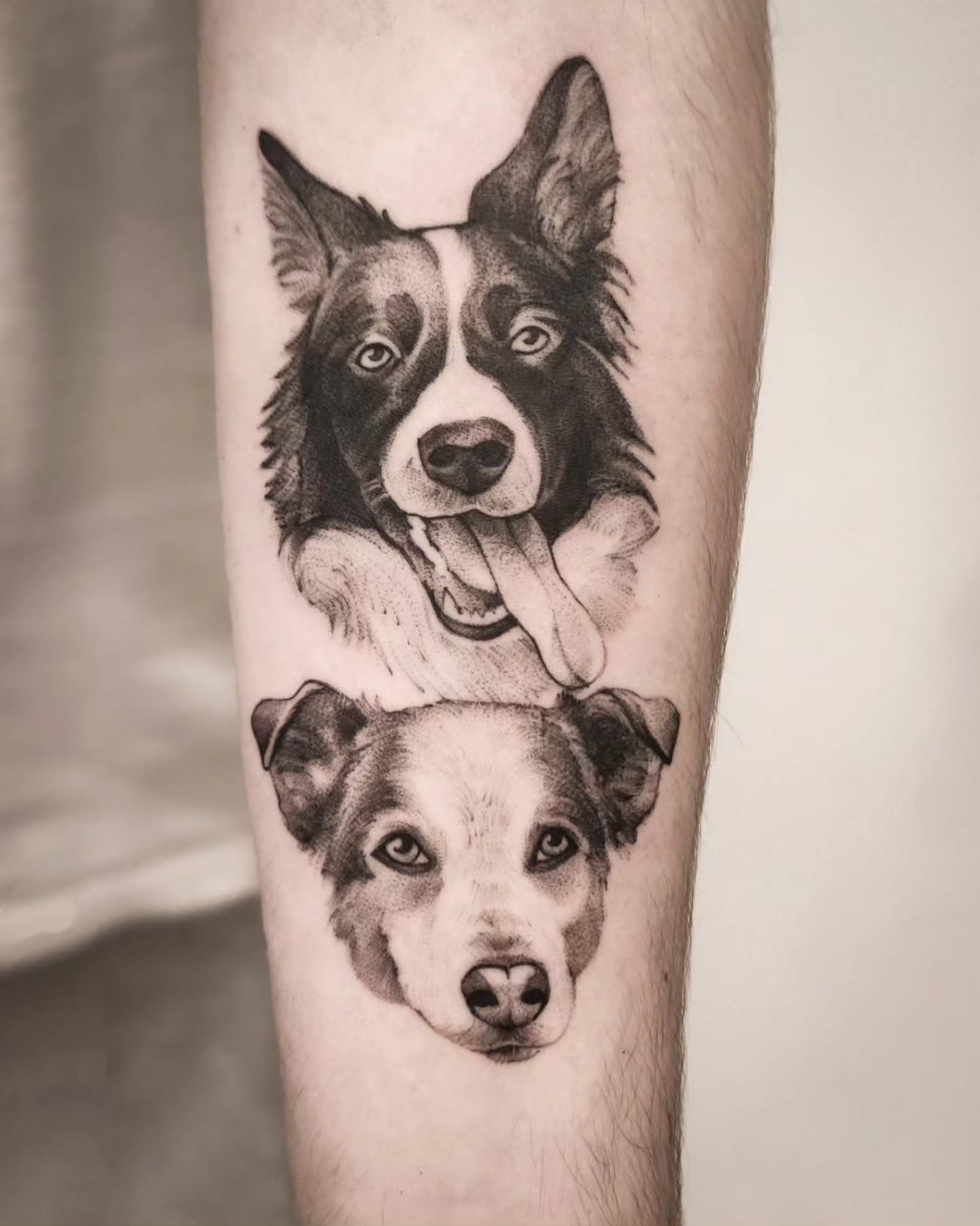 Portret psów na ręku