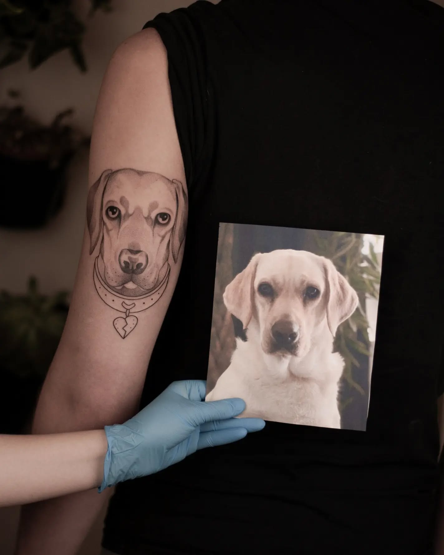 Portret Dorotki na Piotrze