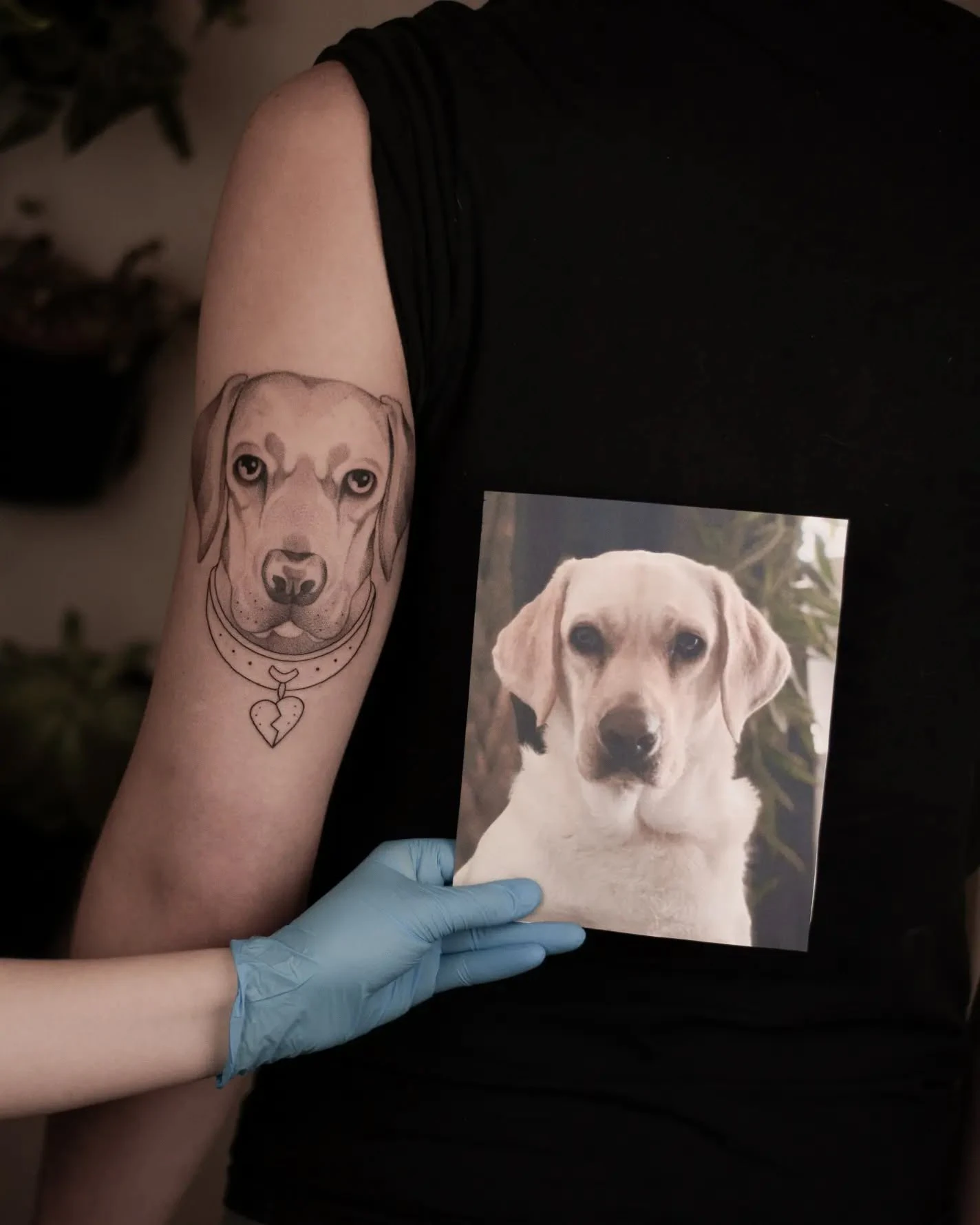 Portret psa wytatuowany na ramieniu, pokazany obok fotografii przedstawiającej tego samego psa; zbliżenia ukazują detale obroży i serca.