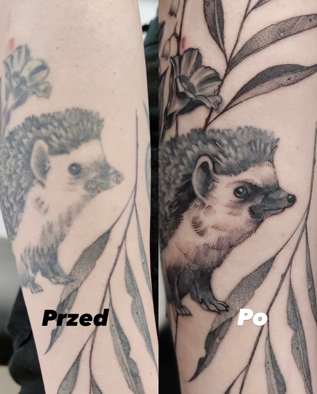 Metamorfoza tatuażu jeżyka