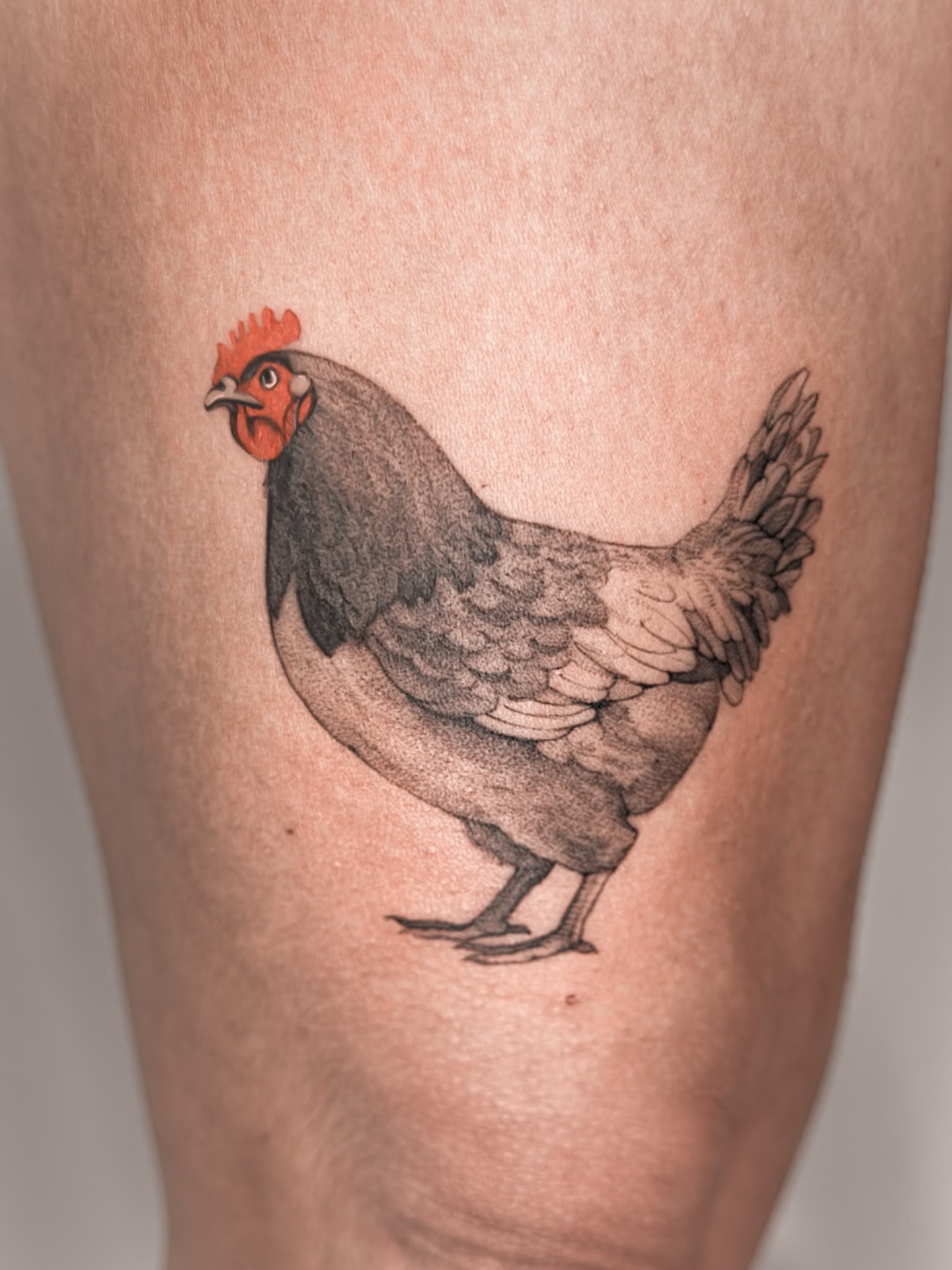 Kocham Wasze nieszablonowe pomysły 😁 Zamiast wilk... - Slide 1