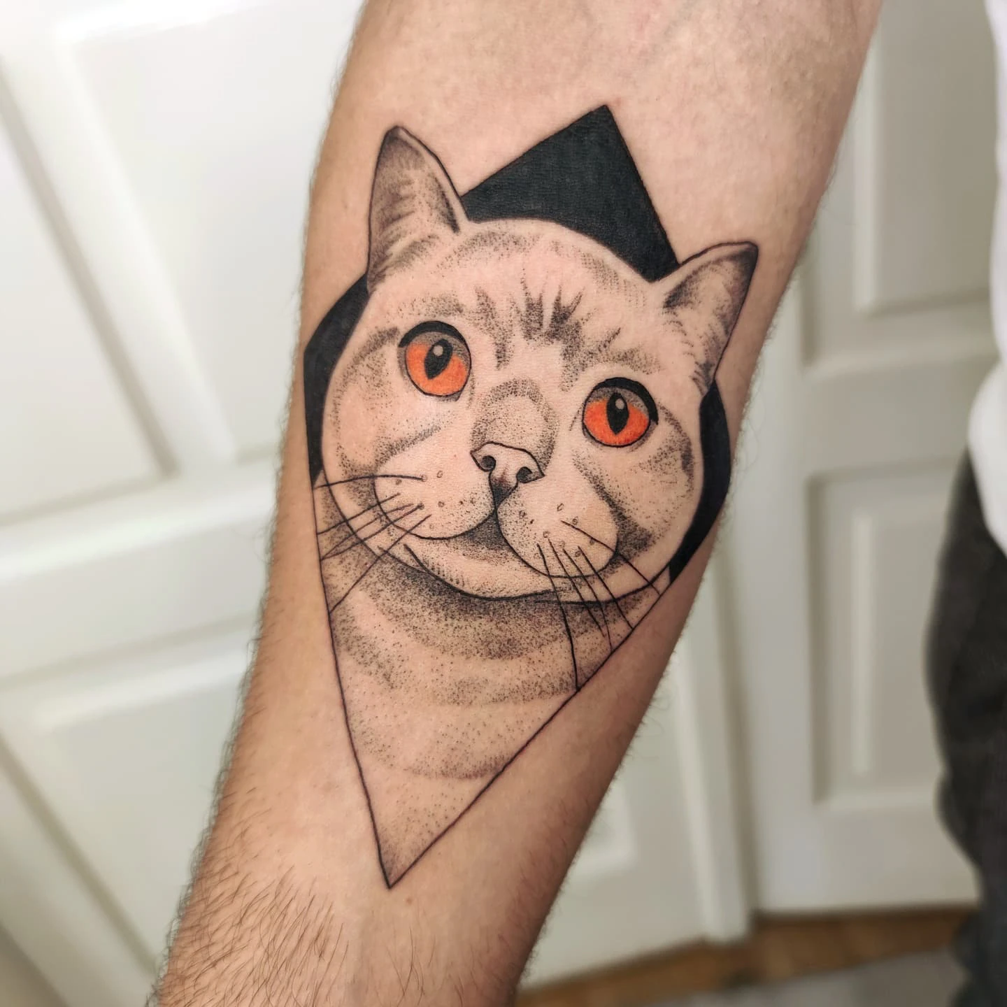 Portret kota z jasną sierścią i pomarańczowymi oczami w geometrycznej kompozycji, pokazany na skórze oraz na zdjęciu referencyjnym.