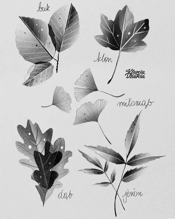Botaniczne wolne wzory