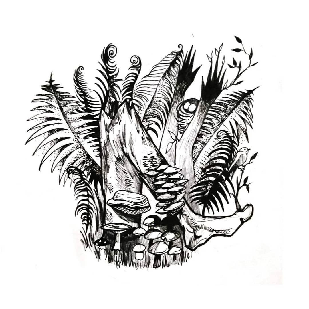 Planta Sapiens – leśna roślinność i grzyby