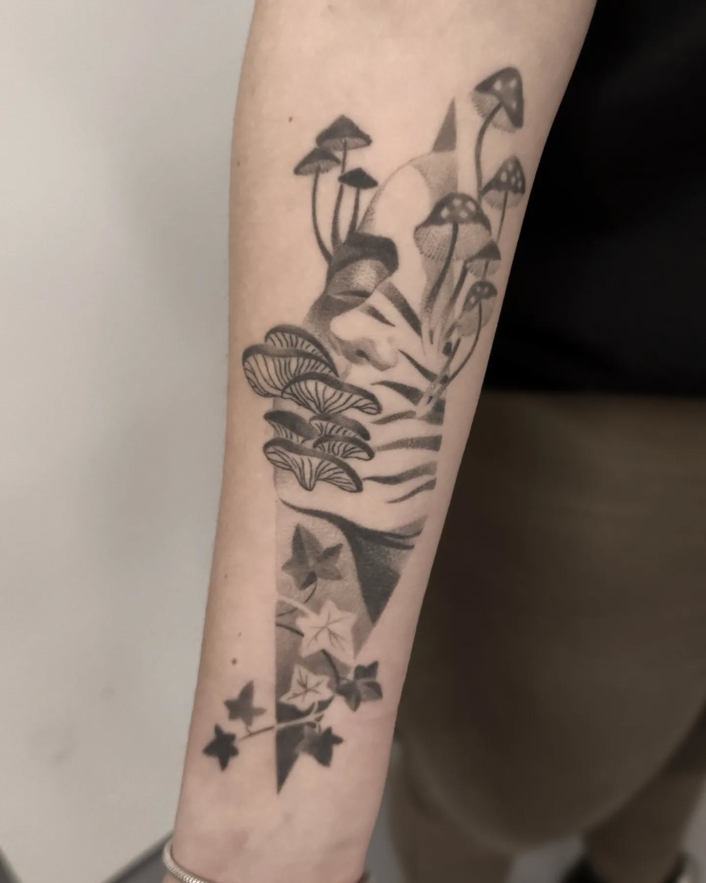 Wygojony Planta Sapiens