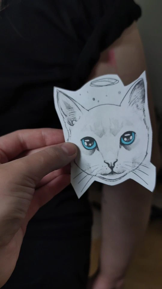 Portret kota z dużymi niebieskimi oczami pokazany w trakcie szkicowania oraz jako tatuaż na ramieniu.