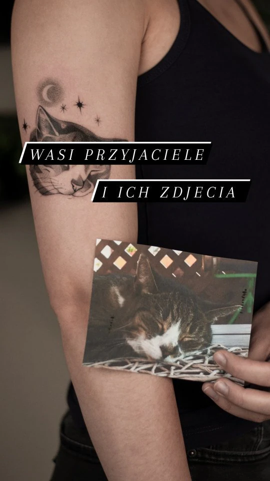 Klatki wideo pokazujące kilka tatuaży inspirowanych portretami zwierząt, zestawionych ze zdjęciami kotów i psów będącymi referencjami.