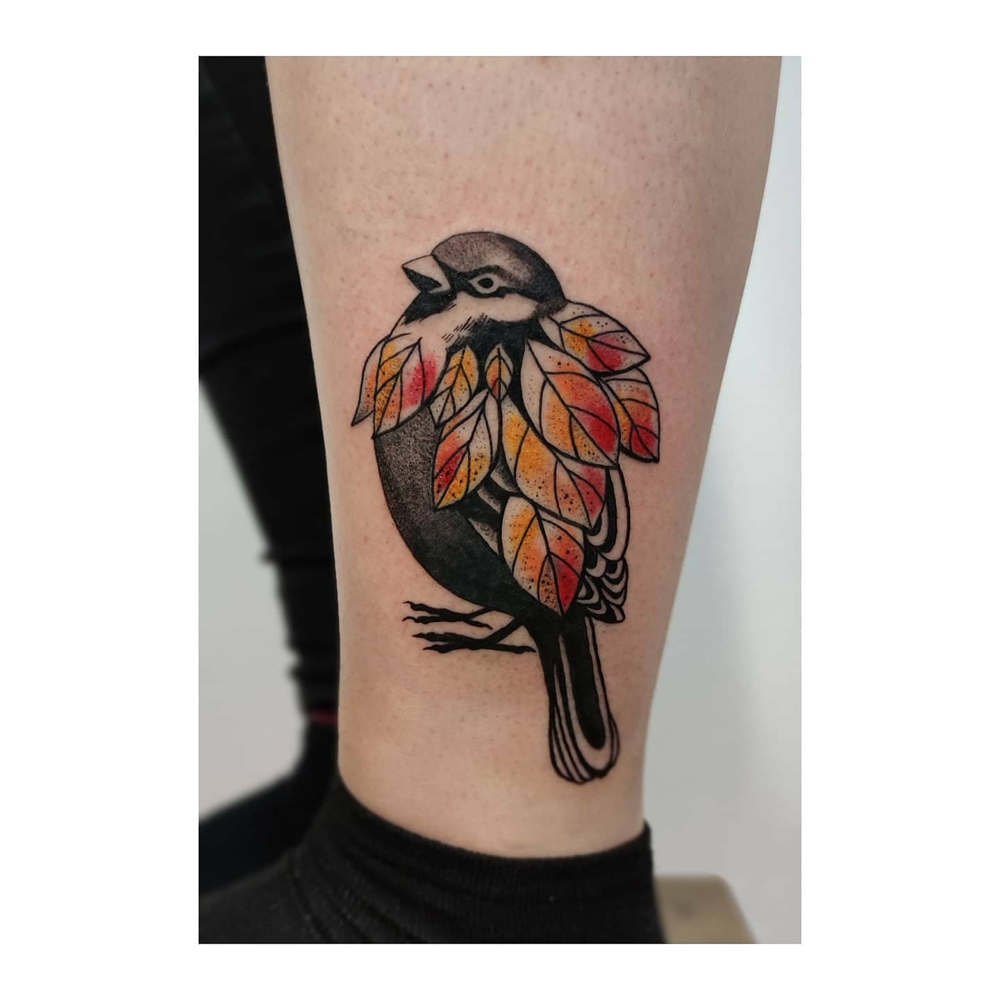 Projekt z 01/22/2021 - Jak myślicie, to wróbelek c - Slide 1