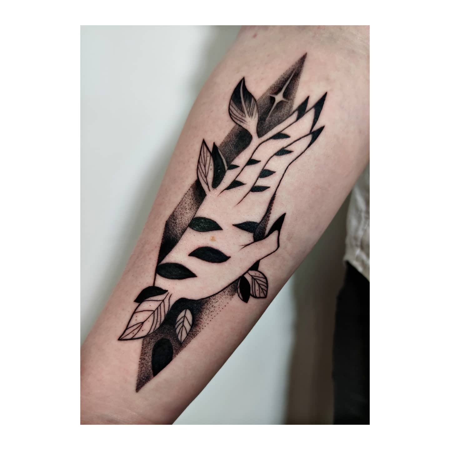 Projekt z 01/31/2021 - Kosmiczna brzozoręka @ina_c - Slide 1