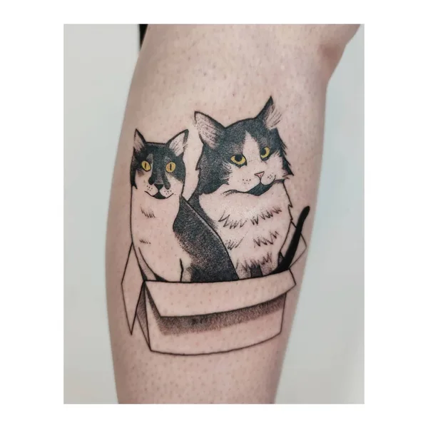 Projekt z 03/05/2021 - ｐｕｒｒｆｅｃｔｉｏｎ