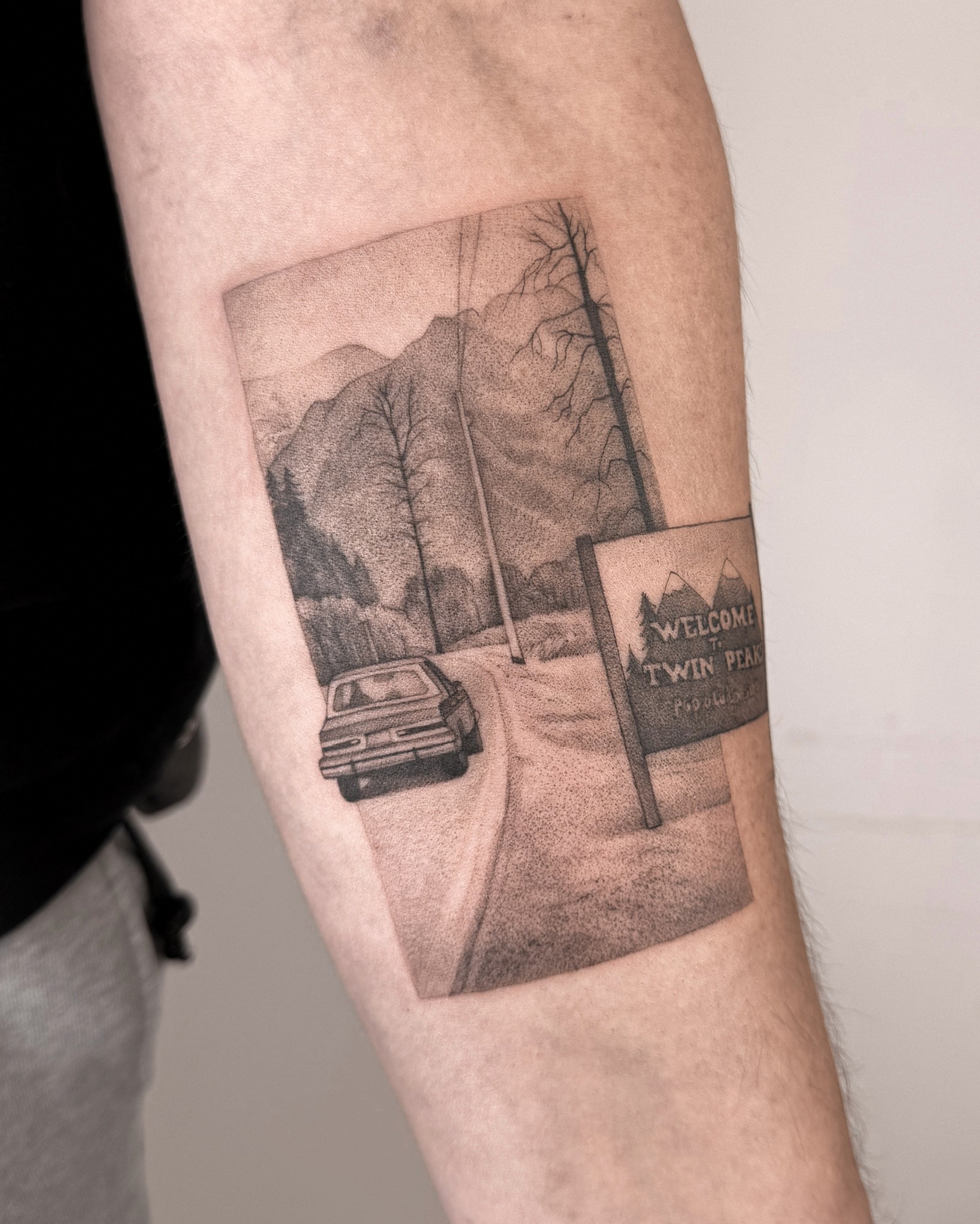 Projekt z 03/28/2026 - Welcome to Twin Peaks 🖤... - Slide 2