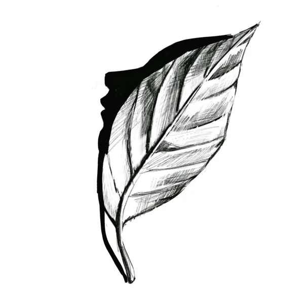 Projekt z 11/08/2020 - ◾️Dostępny wzór