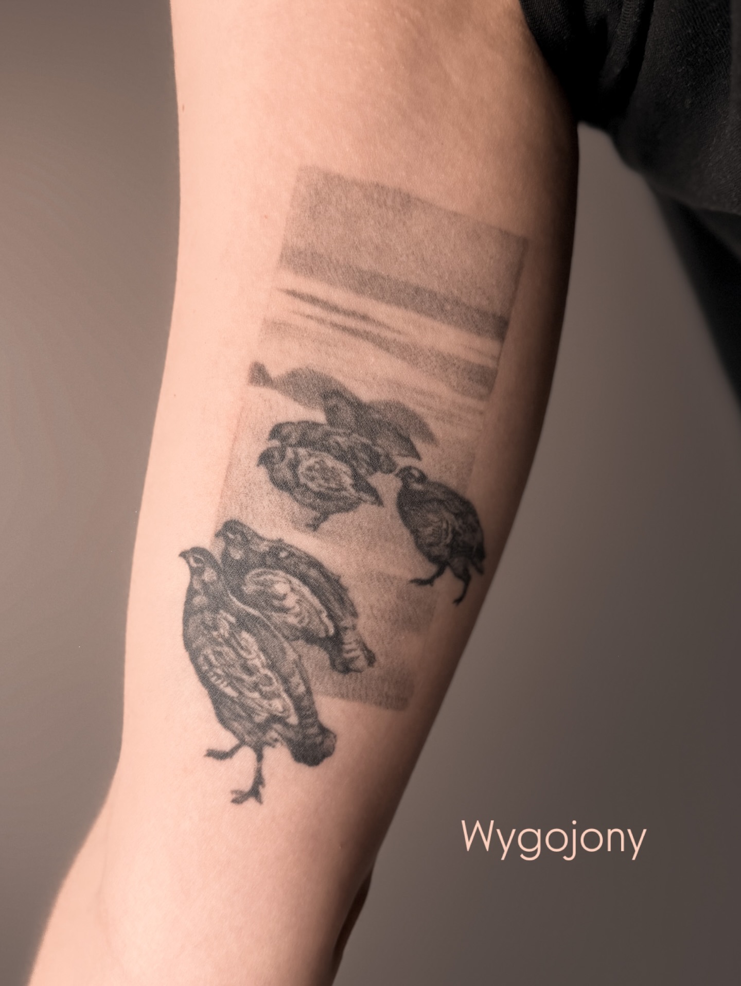 Rzeźba św. Cecylii, której nie znałam wcześniej, a... - Slide 4