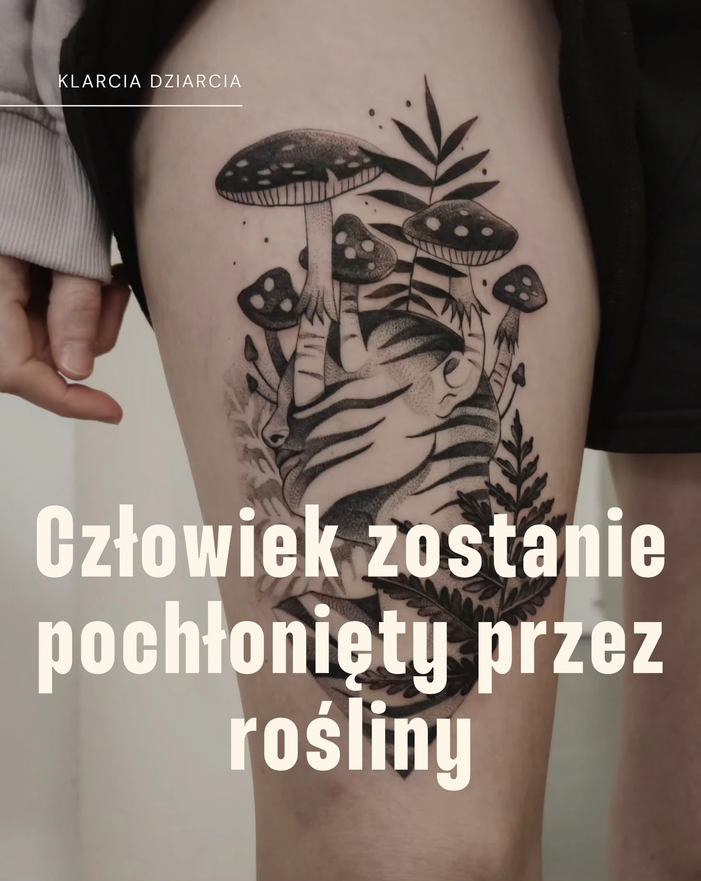 Karuzela czterech czarno-szarych tatuaży z serii Planta Sapiens: postacie ludzi częściowo pochłonięte przez liście, grzyby, gałęzie i ptaki; widoczne są realizacje na udzie, ramieniu i plecach.