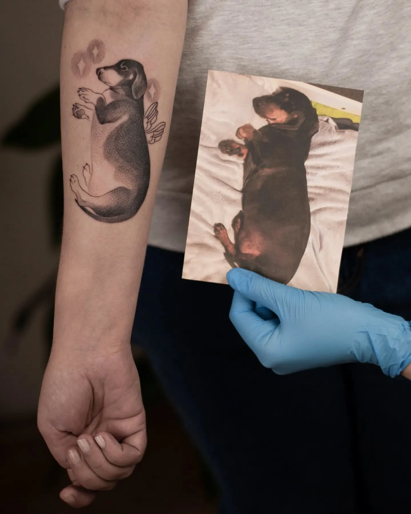 Tatuaż przedstawiający czarnego psa w pozycji leżącej, z delikatnymi skrzydłami i symbolami nad głową; obok widoczne zdjęcie psa będące odniesieniem do projektu.